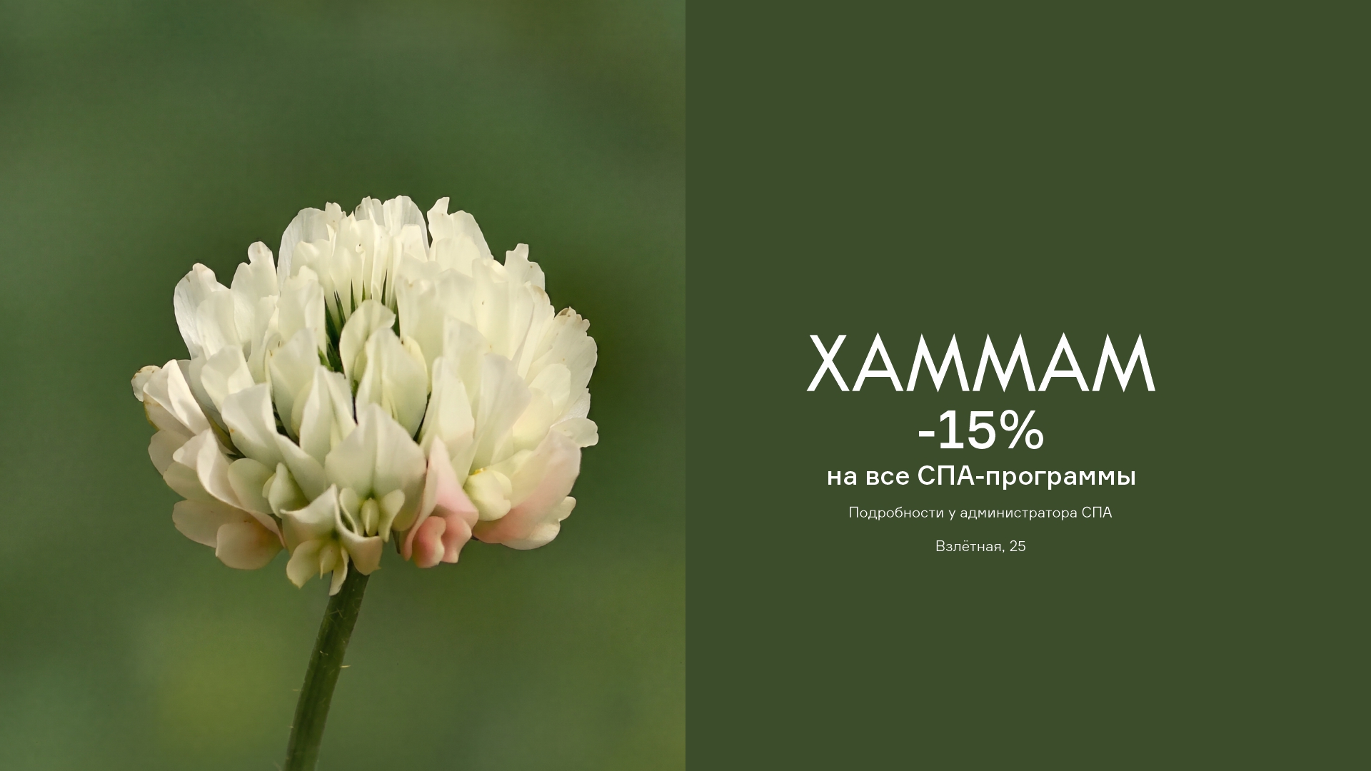 ХАММАМ АВГ